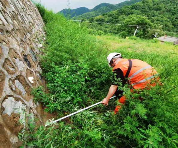 64cc51c75db6b.png 圖片5.png